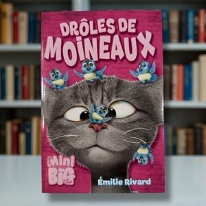📚 Drôles de moineaux – Émilie Rivard